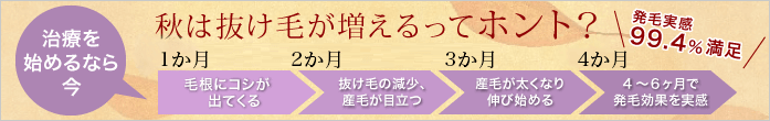秋の抜け毛