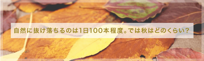 自然に抜け落ちるのは1日100本程度。では秋はどのくらい?