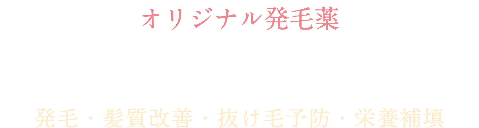 オリジナル発毛薬「リバースレディ」発毛・髪質改善
抜け毛予防・栄養補填