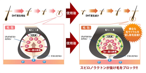 スピロノラクトンイメージ