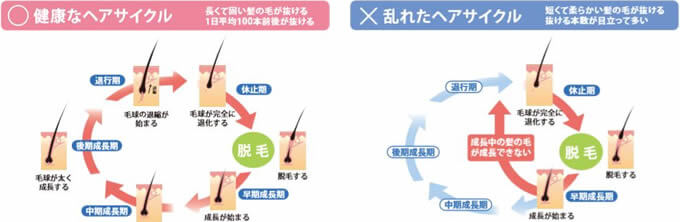 ヘアサイクル