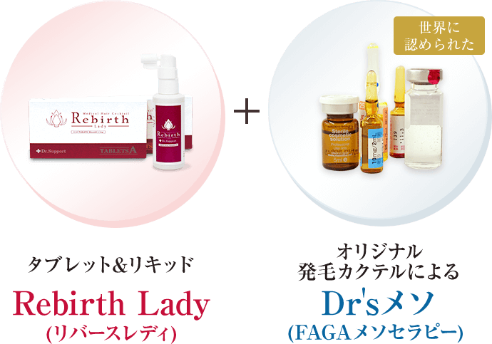 定番のお歳暮 冬ギフト 3本セット Lady Rebirth その他